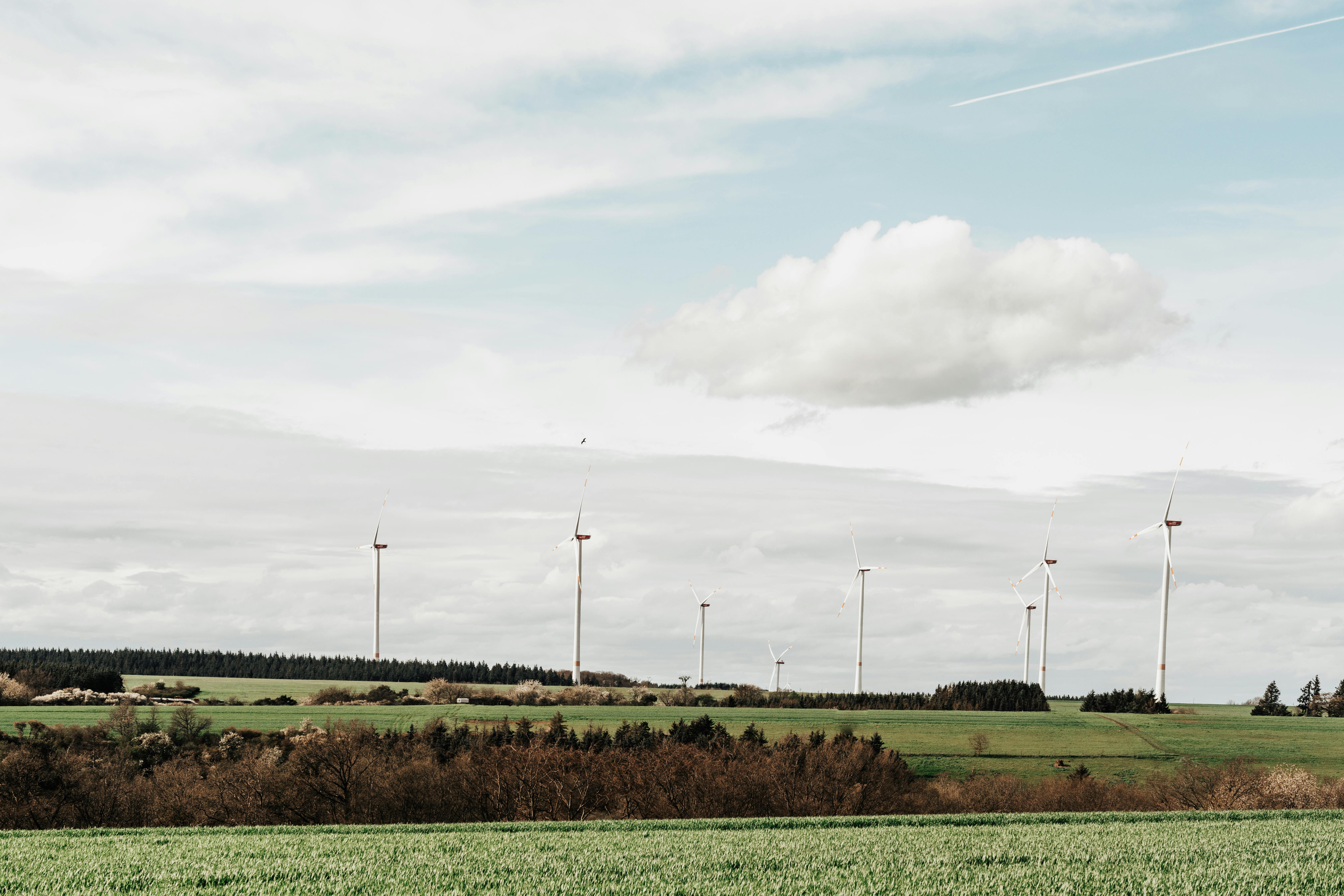 Taking Action on Stakeholder Capitalism and their contribution to the Sustainable Development Goals: Al-Mashat at Davos 2021 - Egypt Today