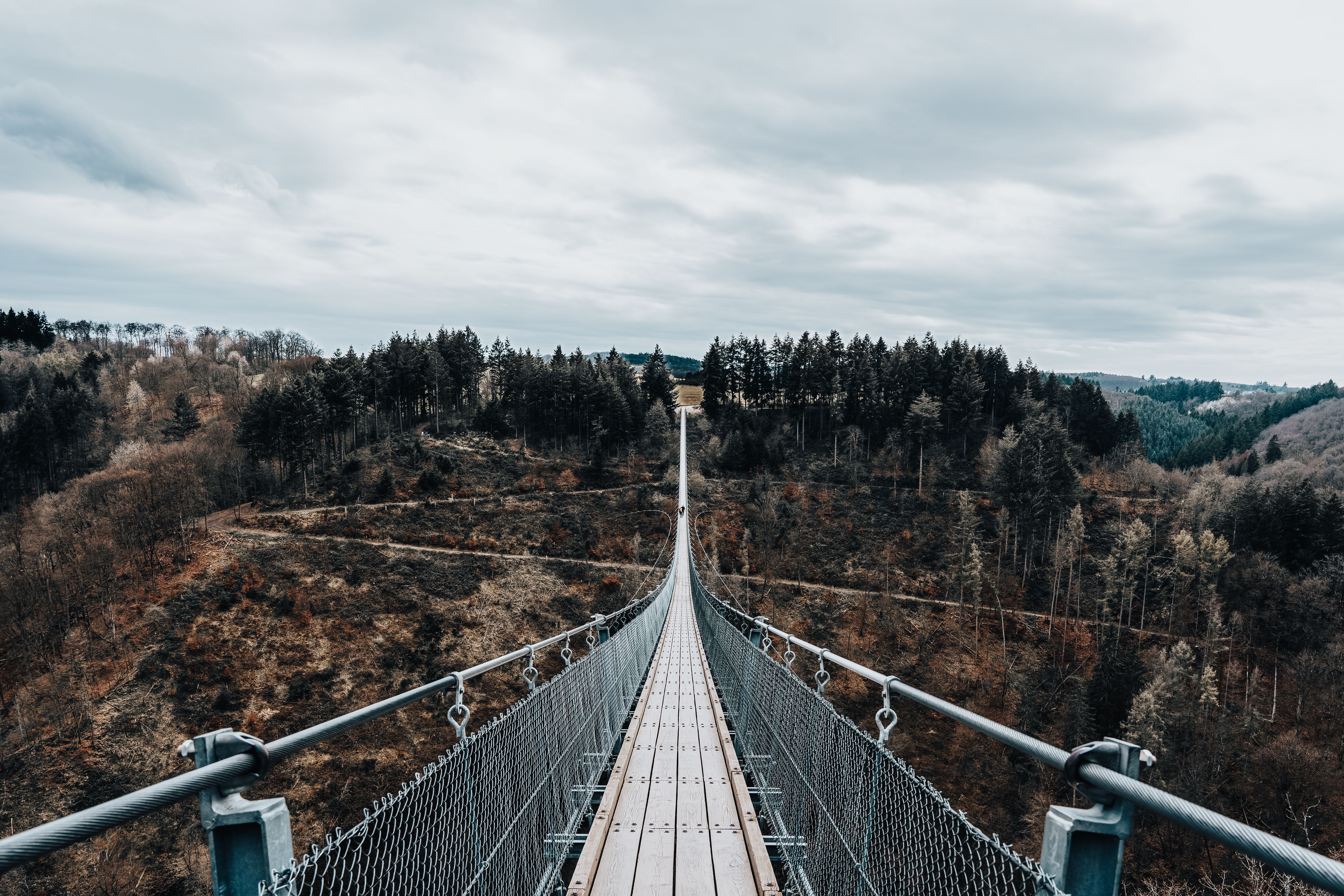 Seamless Family Travel: Bridging the Gap Between Lightweight Convenience and Full-Size Comfort — Photo by Masood Aslami on Pe