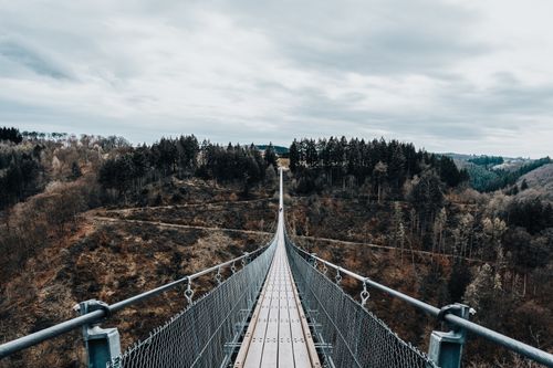 Free A dramatic view of a suspension bridge spanning a dense coniferous forest under a cloudy sky. Stock Photo