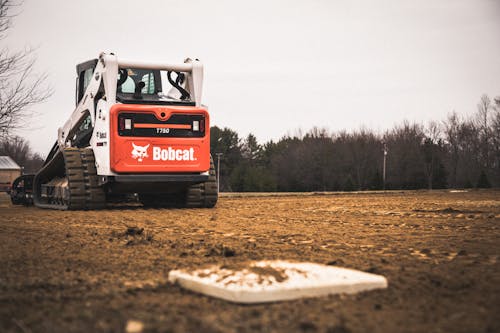 A bobcat is sitting on the ground in a field