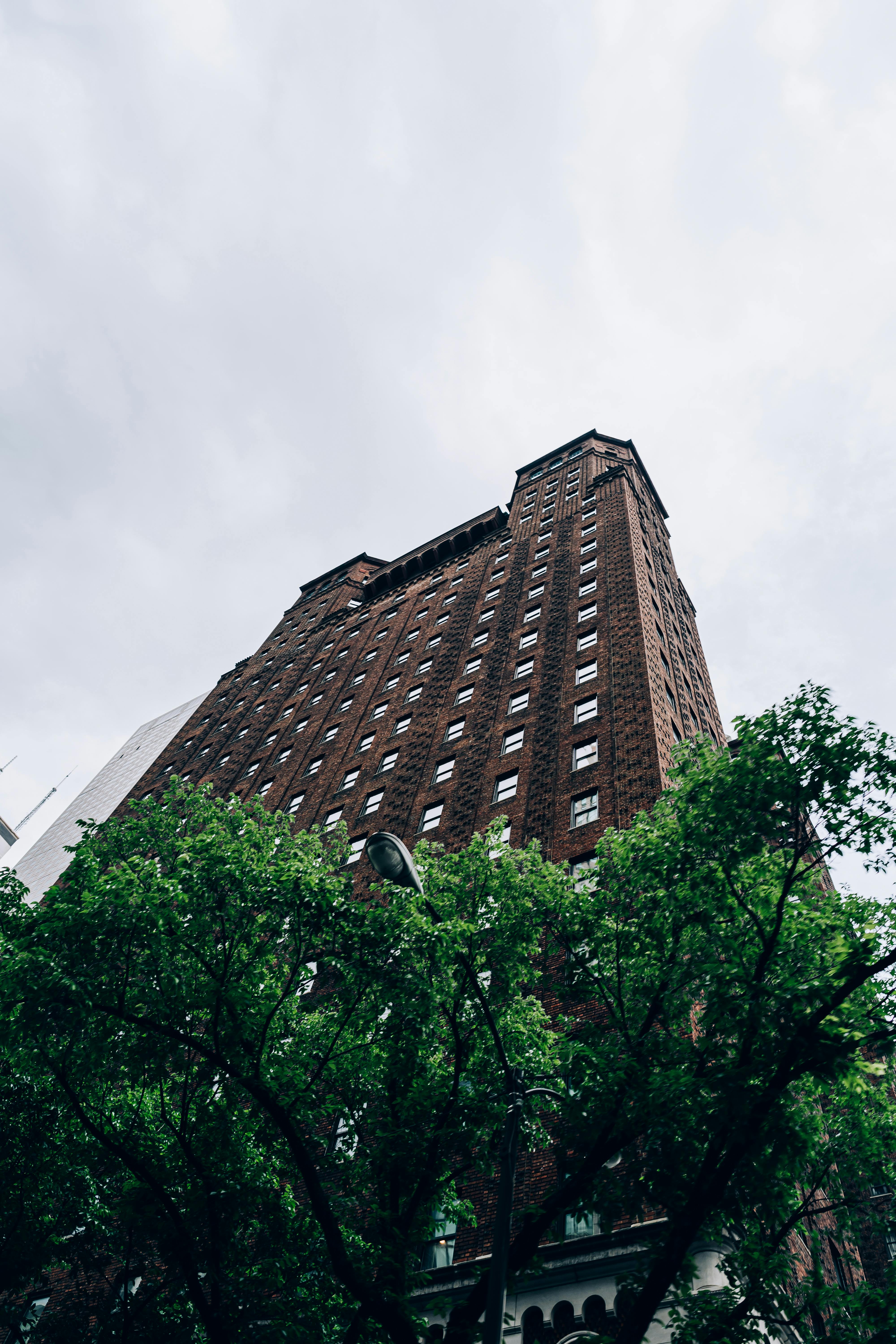 芝加哥一座历史悠久的棕色砖高层建筑，从低角度望去，四周绿树环绕