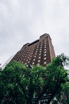 芝加哥一座历史悠久的棕色砖高层建筑，从低角度望去，四周绿树环绕