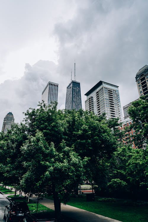 Buildings Near Trees