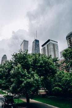 在阴天，通过这条标志性的天际线，可以捕捉芝加哥的现代建筑精髓