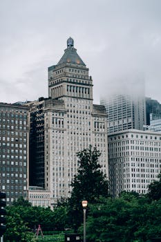 芝加哥历史悠久的摩天大楼四周环绕着郁郁葱葱的绿色植物