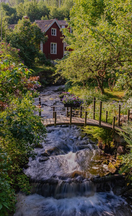 Ingyenes stockfotó építészet, esés, fa témában