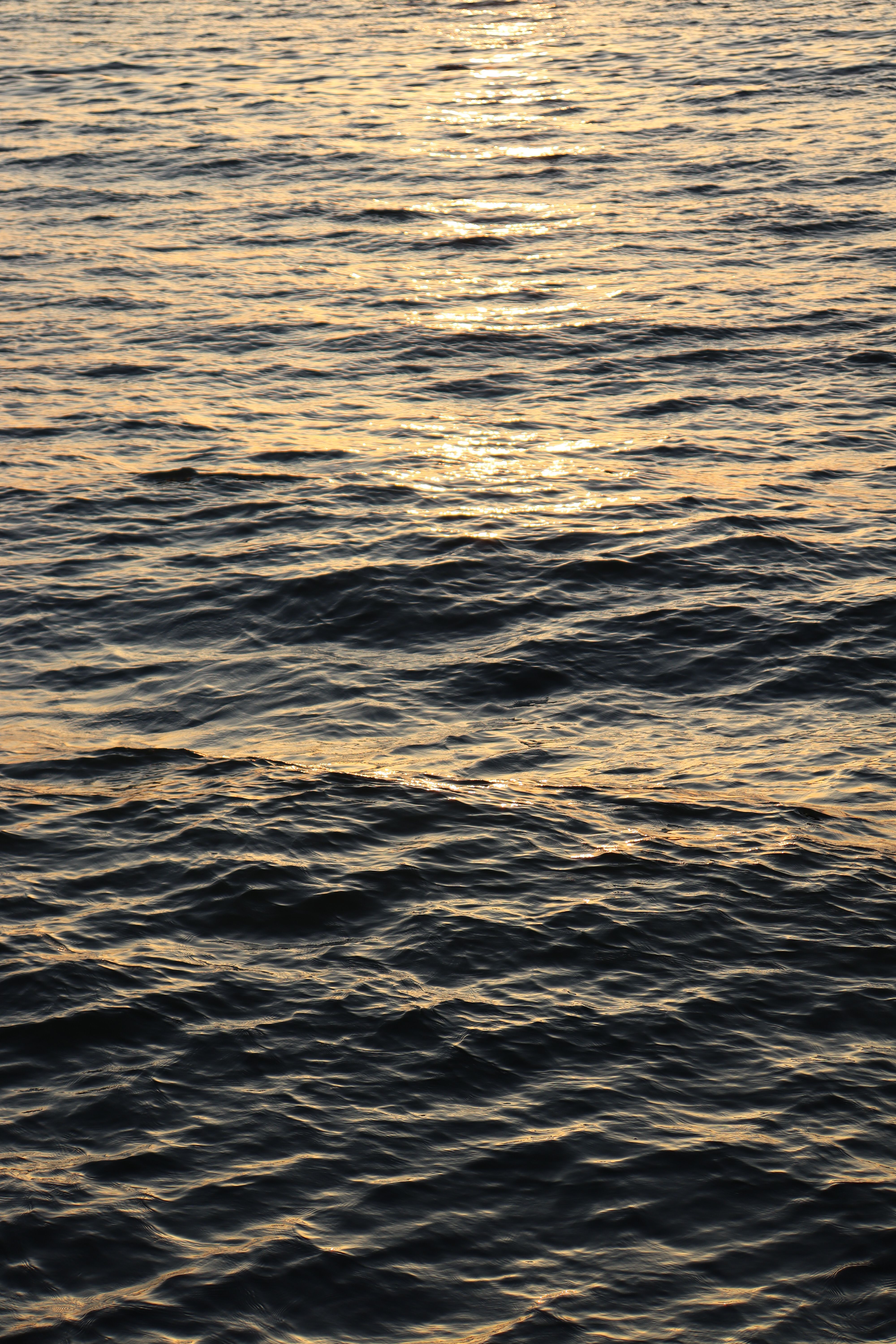 View of the Sunset Reflecting in the Water Surface · Free Stock Photo