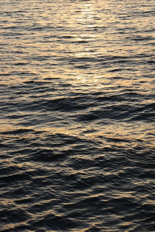 Free Tranquil sunset casting golden reflections over rippling sea water, creating a calm evening atmosphere. Stock Photo