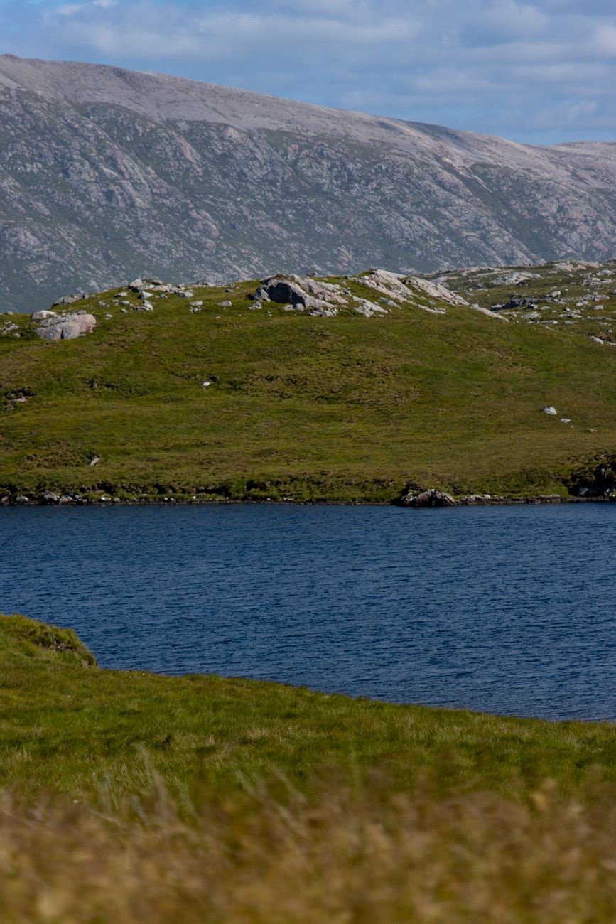 IMPORTAZIONE DI BENI E SERVIZI GARANTITA NEI PROSSIMI SEI MESI