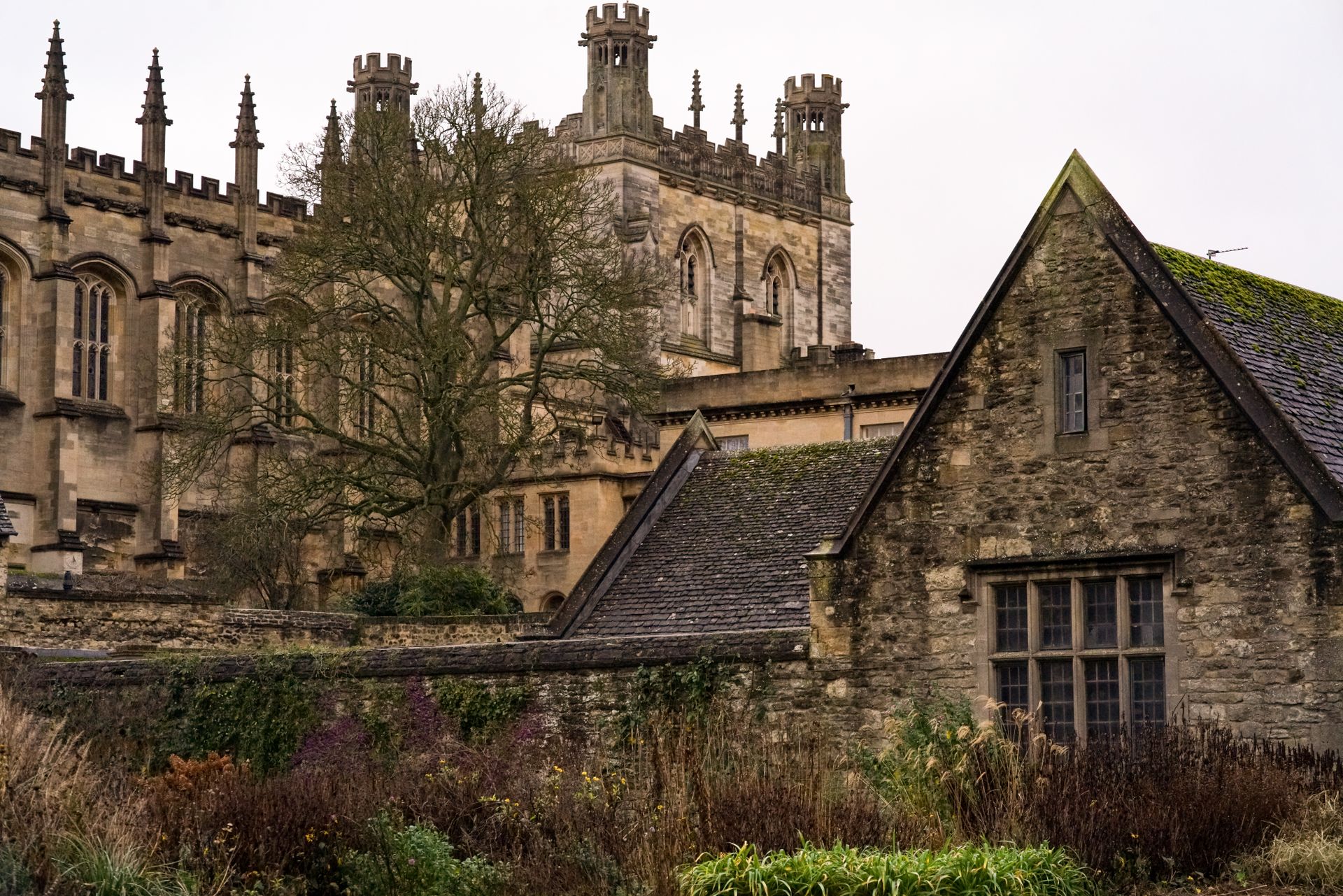 Oxford üniversite kampüsü gündüz görüntüsü