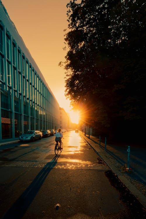 A person riding a bike on a street at sunset