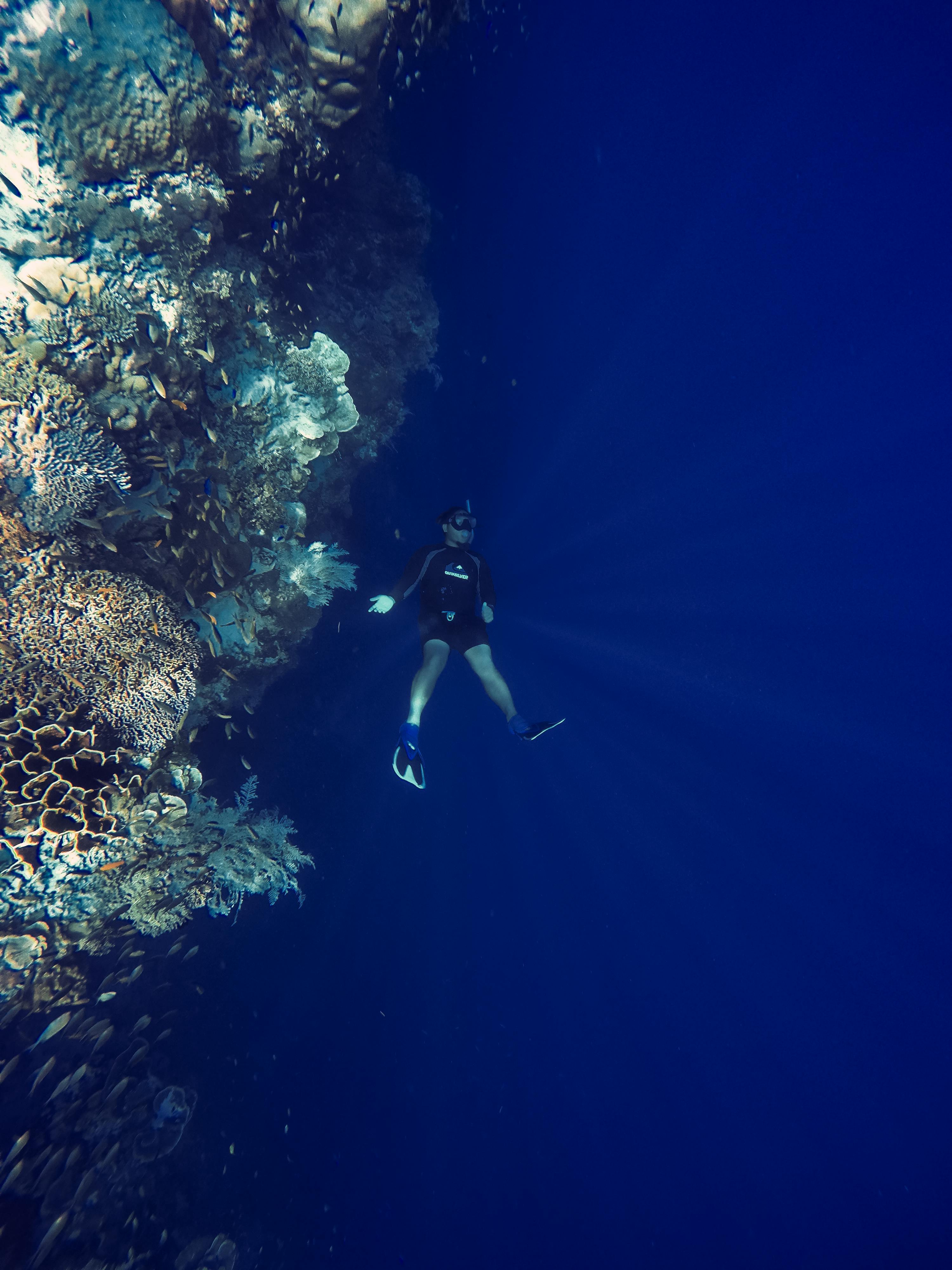 Free stock photo of deep sea, dive, freedive