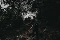 一群徒步旅行者穿过茂密阴暗的森林小径，捕捉着大自然冒险的精髓