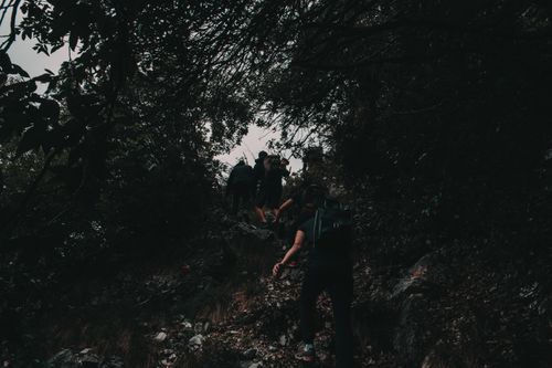 Free A group of hikers trekking through a dense, shadowy forest trail, capturing the essence of adventure in nature. Stock Photo