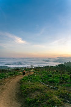 Breathtaking view of misty mountains and lush greenery in Dalat, Vietnam at sunrise.