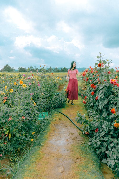 Foto d'estoc gratuïta de a l'aire lliure, agricultura, camp