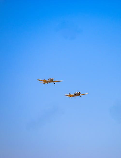 Gratis lagerfoto af beja, bejaairshow, kunstflyvning