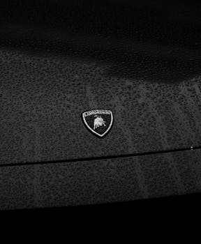 Black Lamborghini car hood featuring its emblem, with raindrops creating a textured effect.