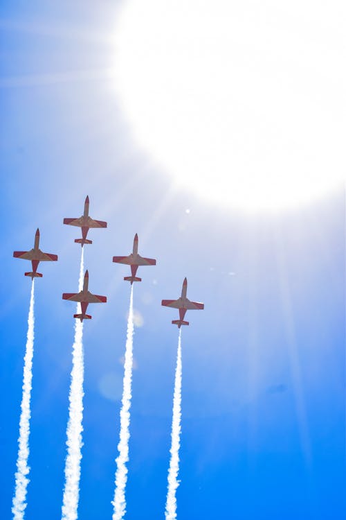 Gratis lagerfoto af beja, bejaairshow, kunstflyvning