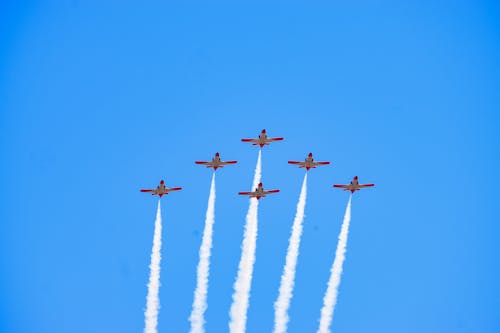 Gratis lagerfoto af beja, bejaairshow, kunstflyvning