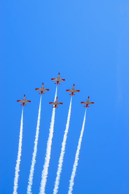 Gratis lagerfoto af beja, bejaairshow, kunstflyvning