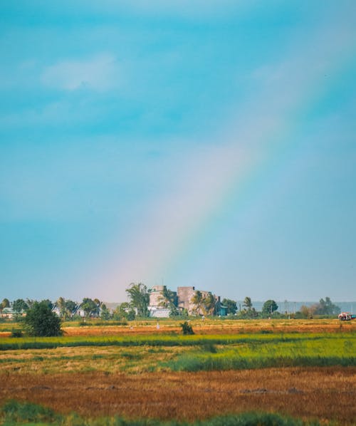 A rainbow is seen over a field with a house in the background