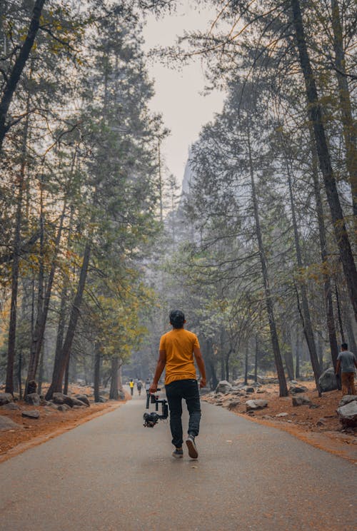 Vue Arrière Photo De L'homme Portant Un Appareil Photo Reflex Numérique Avec Stabilisateur En Descendant Le Chemin Entre Les Arbres