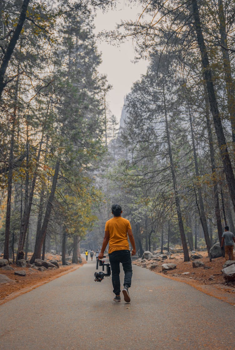 Back View Photo Of Man Carrying Dslr Camera With Stabilizer Walking Down Path In Between Trees