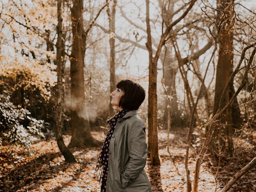 Free Side View Photo of Woman in the Middle of the Woods Looking up Stock Photo