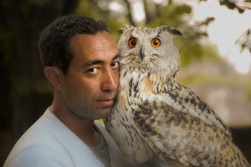 Person Holding A White Owl 