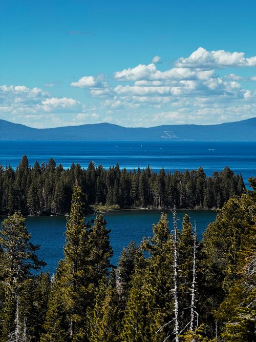 Free A stunning view of a pine forest overlooking a calm lake with distant mountains under a clear blue sky. Stock Photo