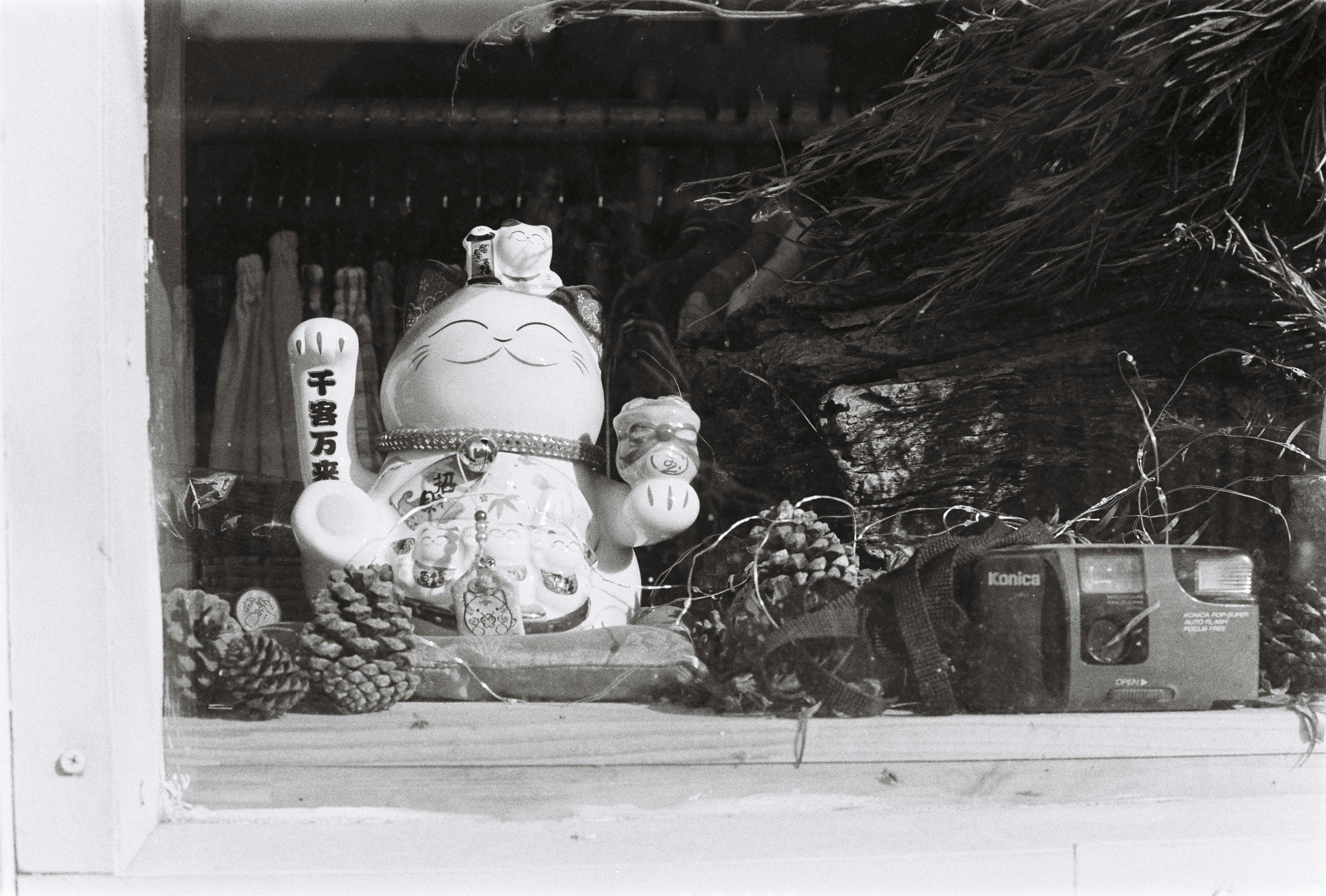 店面窗口里摆放着黑白照片的猫、松果和老式相机