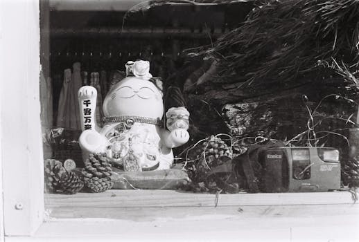 店面窗口里摆放着黑白照片的猫、松果和老式相机