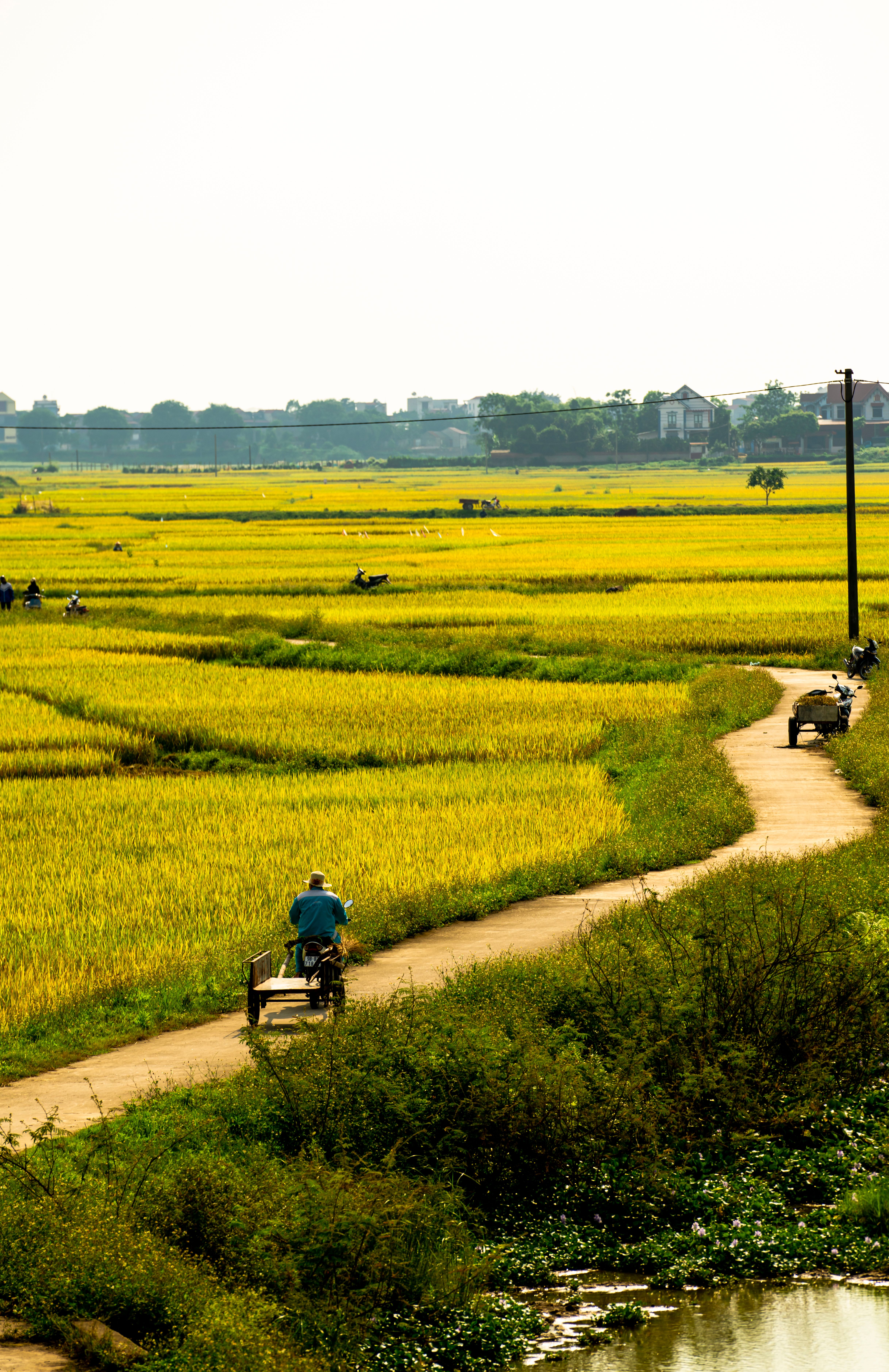 Hội An lantern street