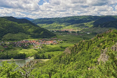 Základová fotografie zdarma na téma cestování, dřevo, hora