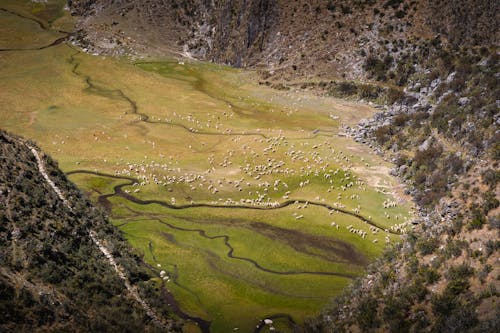 アンデス山脈, グリーンマウンテン, パークの無料の写真素材