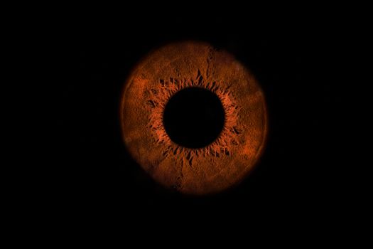 Artistic depiction of a solar eclipse with an abstract, fiery texture against a black background.