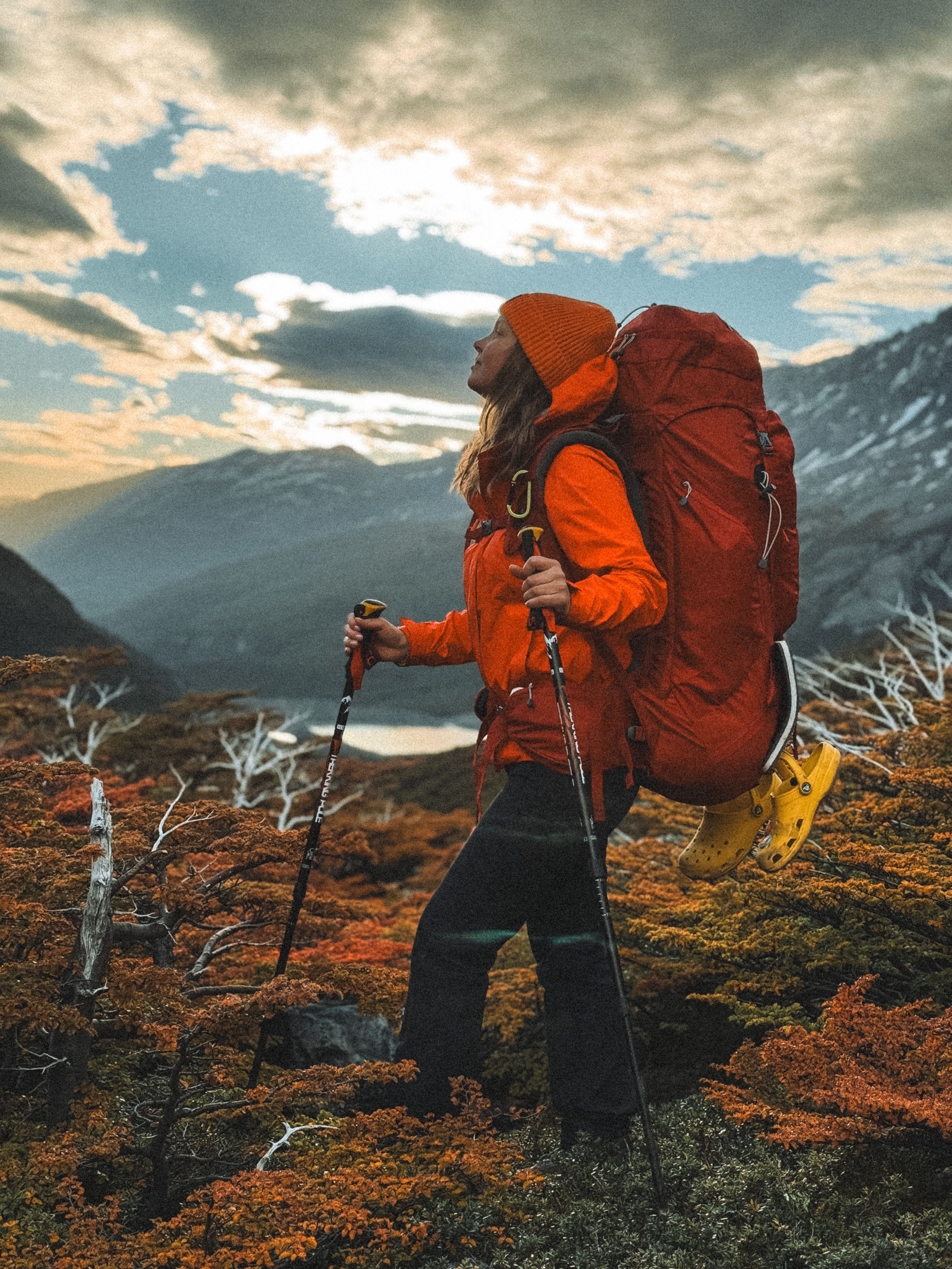 pexels photo 25580833 Carbon Trekking Poles: The Ultimate Guide to Materials and Brands
