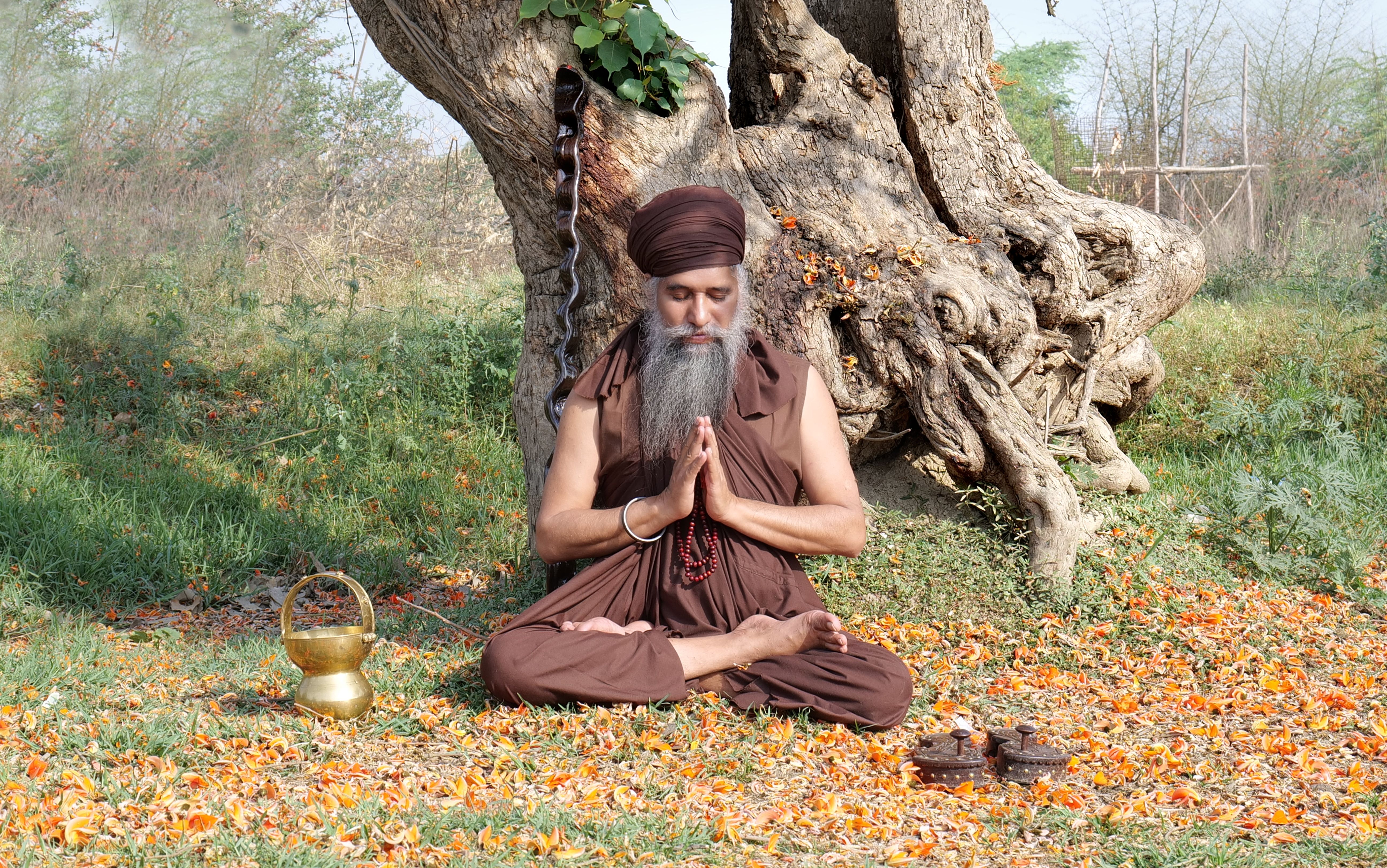 A man meditates outdoors near a large tree, embodying peace and spirituality.