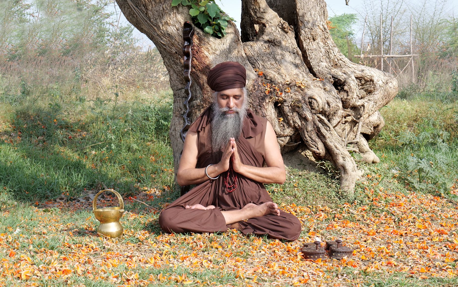 A man meditates outdoors near a large tree, embodying peace and spirituality.