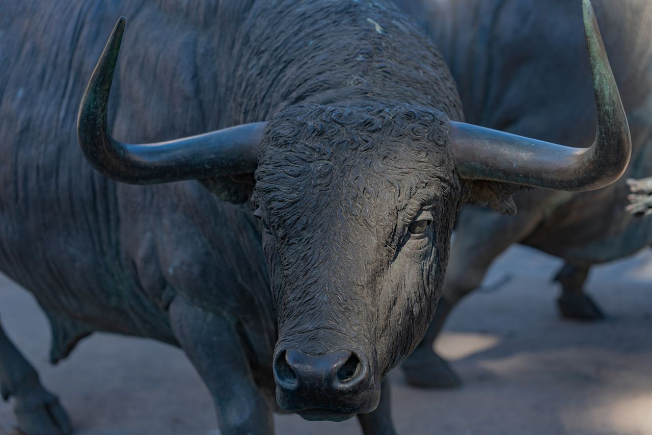 close up of a bronze bull statue outdoors showcasing its powerful horn