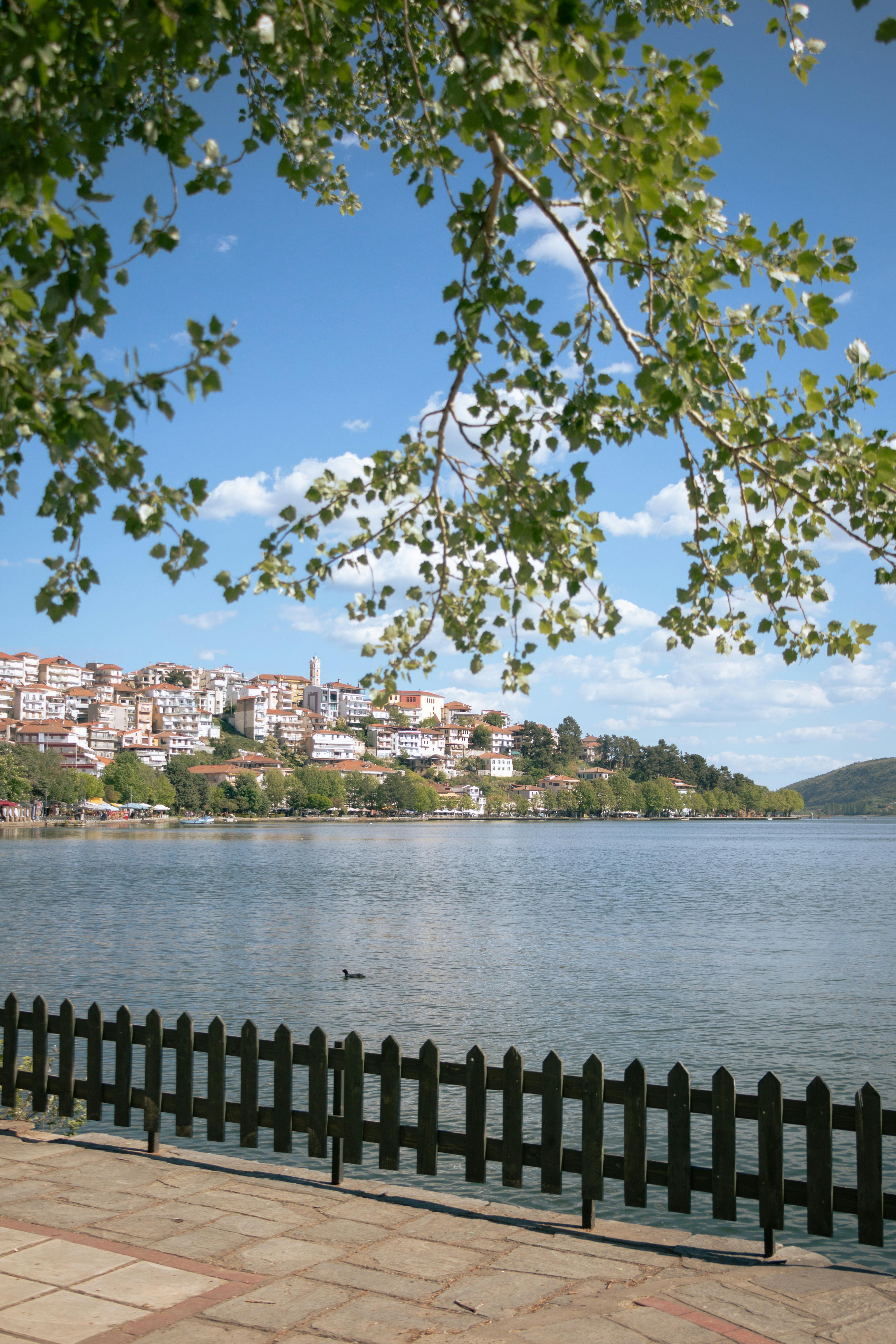Beautiful view of Kastoria lake framed by green branches and cityscape in Greece.