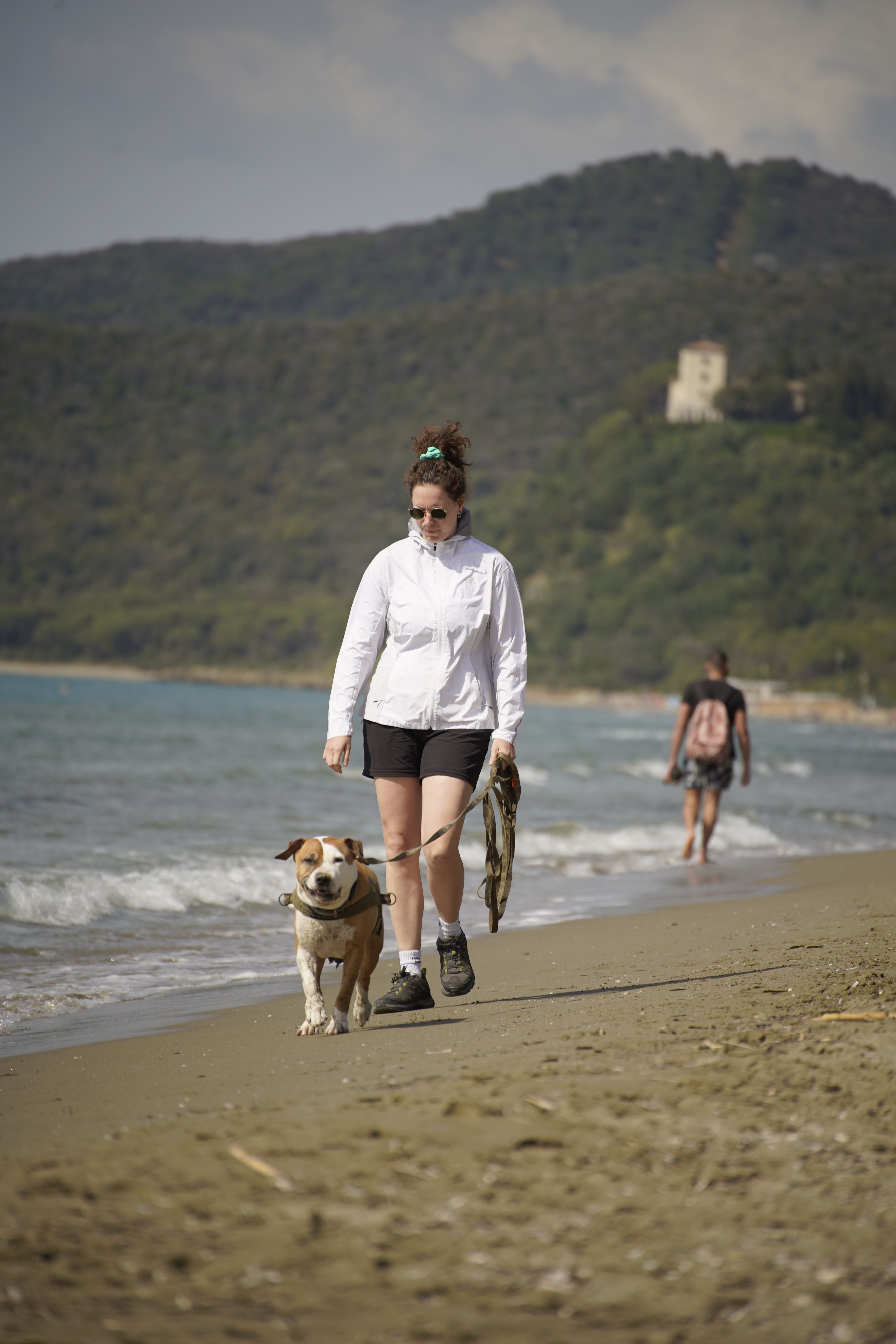 Woman Walking a Dog on a Beach · Free Stock Photo