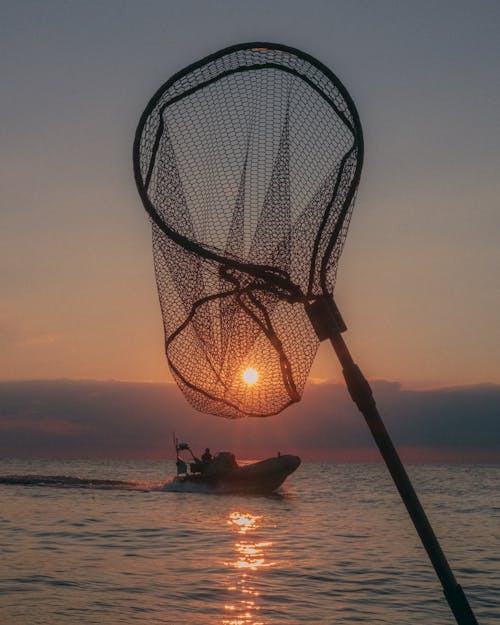50mm, 그물, 미시간 호수의 무료 스톡 사진