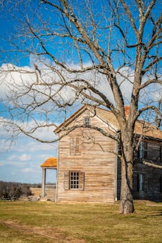 古老的木制房屋坐落于绿树成荫的乡村，俯瞰着蓝天