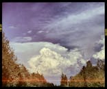 绿树成荫的道路上布满电线，多云的天空充满活力，展现了大自然的美丽