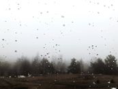 窗外，雨滴映衬着雾气朦胧、树木光秃的风景