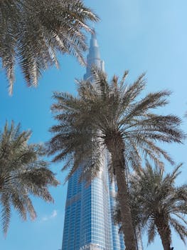 在迪拜蔚蓝的天空下，棕榈树丛中雄伟地耸立着哈利法塔
