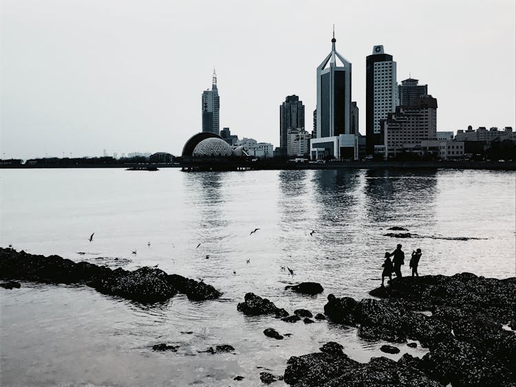 People On Bay Shore With Flying Seagulls In Modern City