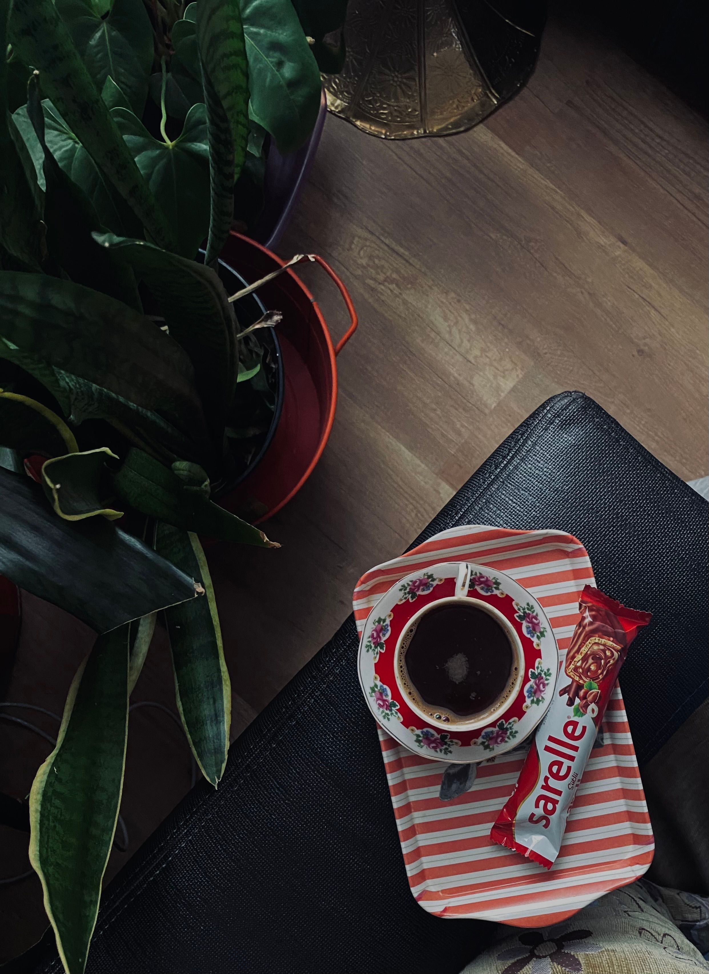 A relaxing scene featuring a coffee cup and chocolate bar on a striped tray beside a houseplant.